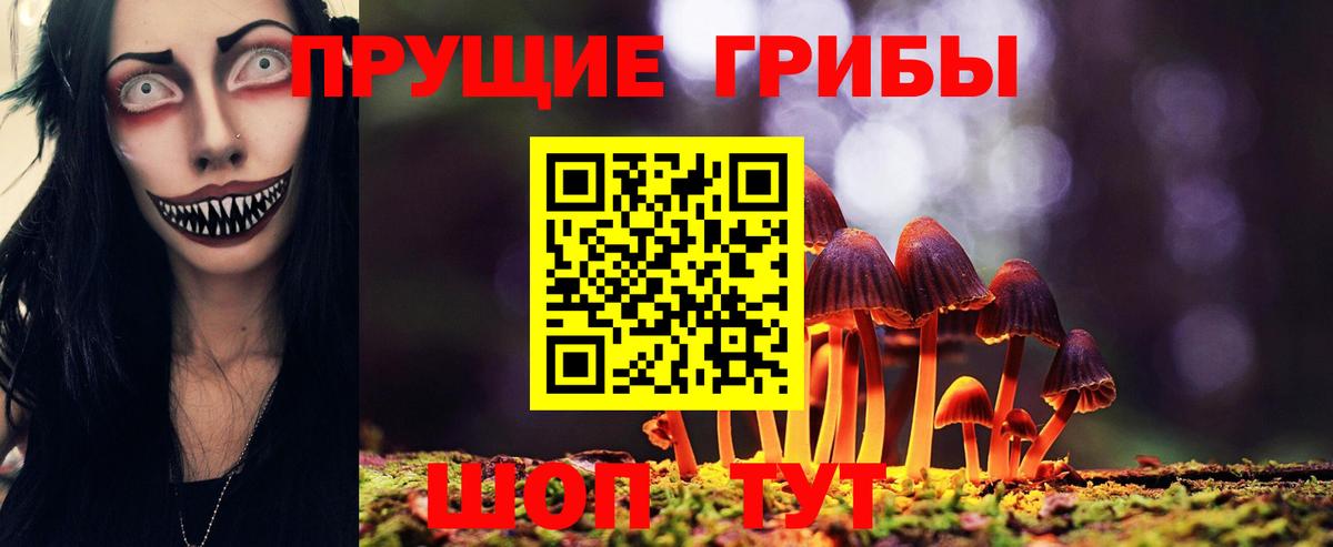 Галлюциногенные грибы GOLDEN TEACHER  Вход с VPN  Миллерово 